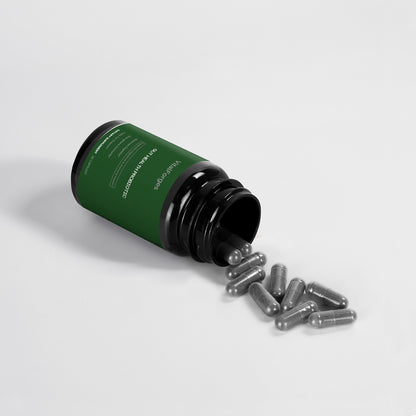 Gut Health Probiotic